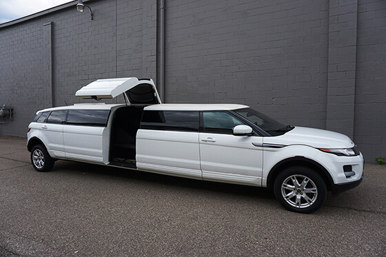 12 passenger limo